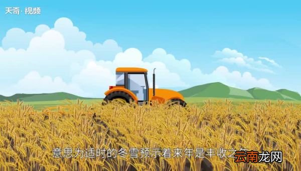 为什么说瑞雪兆丰年 为什么常说瑞雪兆丰年