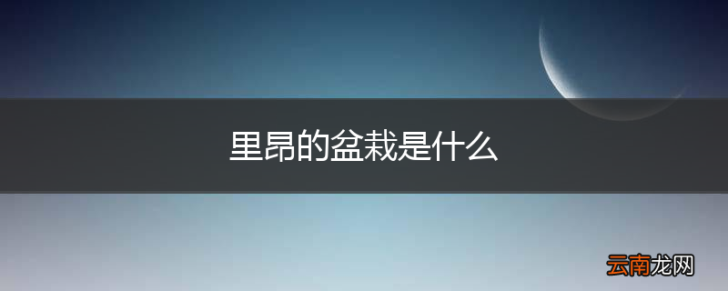 里昂的盆栽是什么