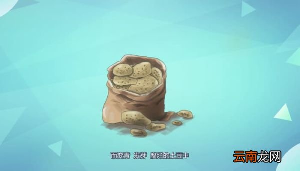 土豆发青能吃吗能吃发青的土豆吗