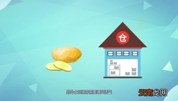 土豆发青能吃吗能吃发青的土豆吗