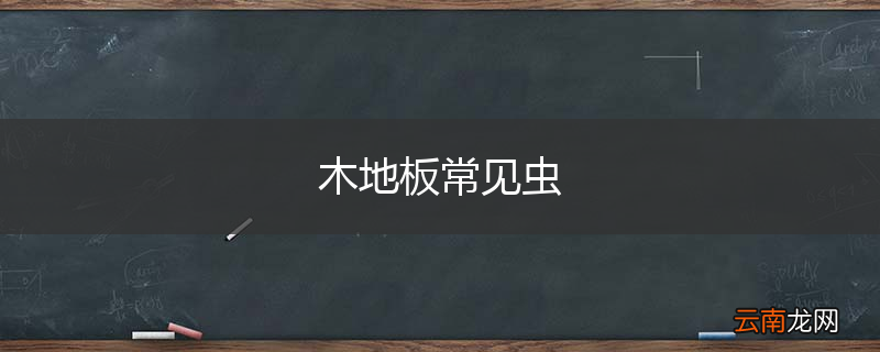 木地板常见虫