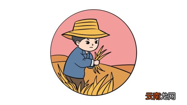 芒种的简笔画该怎么画芒种的简笔画教程