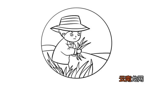 芒种的简笔画该怎么画芒种的简笔画教程