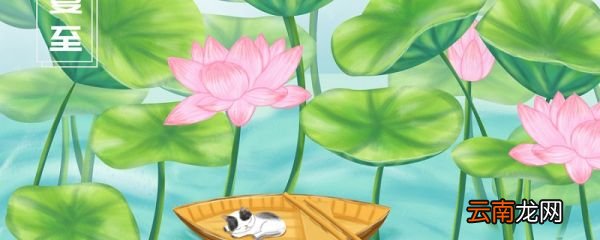 夏至与冬至的区别 夏至与冬至有什么不同