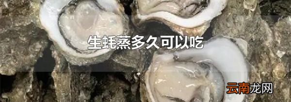 生蚝蒸多久可以吃