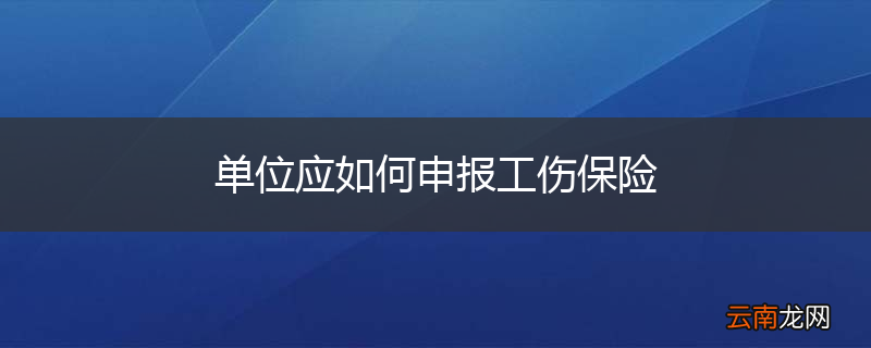 单位应如何申报工伤保险