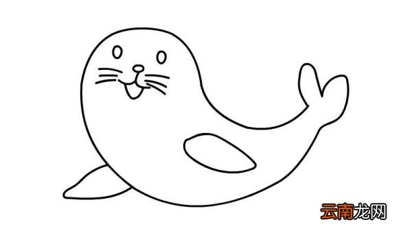 小海豹简笔画的教程小海豹简笔画的画法
