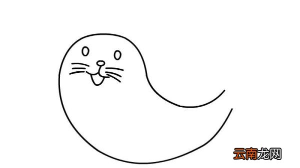 小海豹简笔画的教程小海豹简笔画的画法