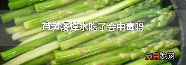 芦笋没焯水吃了会中毒吗