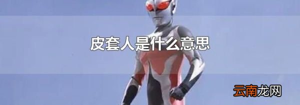 皮套人是什么意思
