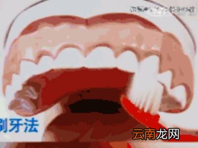 圆弧刷牙法