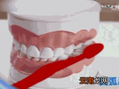 圆弧刷牙法