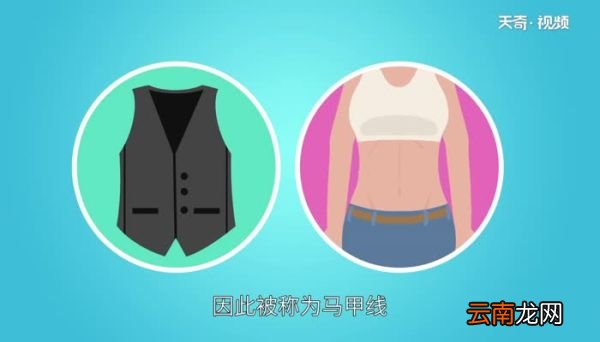 什么是马甲线马甲线指的是什么