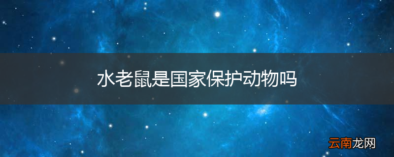 水老鼠是国家保护动物吗