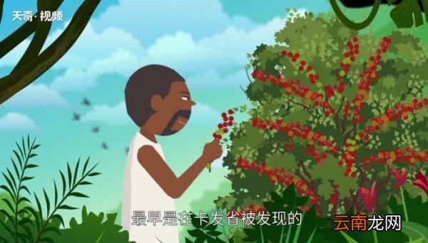 咖啡起源 咖啡的文化与知识