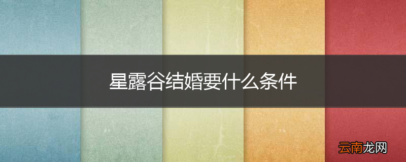 星露谷结婚要什么条件
