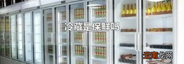 冷藏是保鲜吗