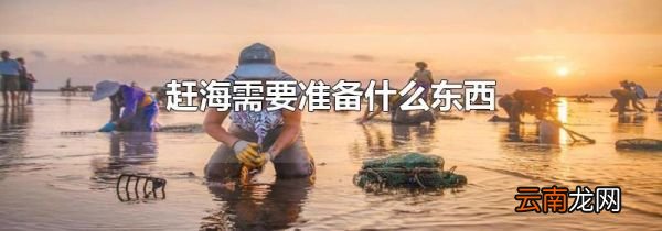 赶海需要准备什么东西