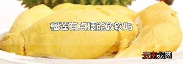 榴莲有点硬能放软吗