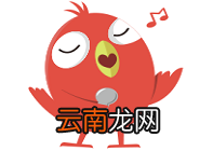 全民k诗认证主播具体操作流程