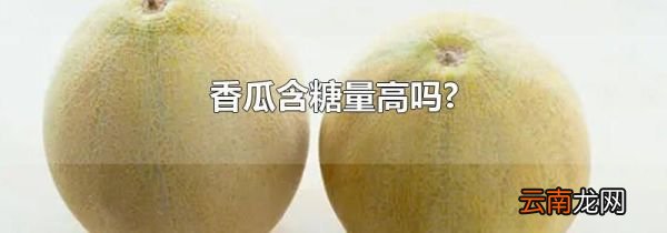 香瓜含糖量高吗?