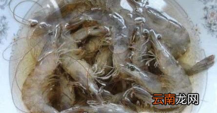 怎么样清洗虾