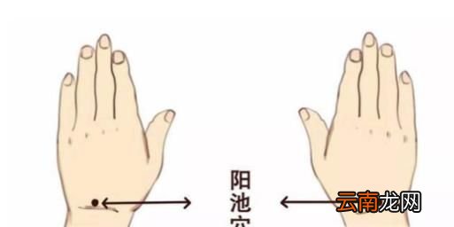 阳池穴穴位位置图及作用