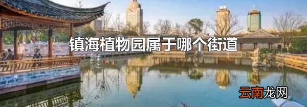 镇海植物园属于哪个街道