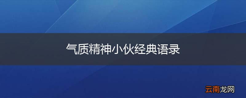 气质精神小伙经典语录