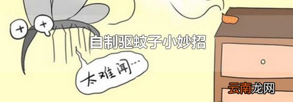 自制驱蚊子小妙招
