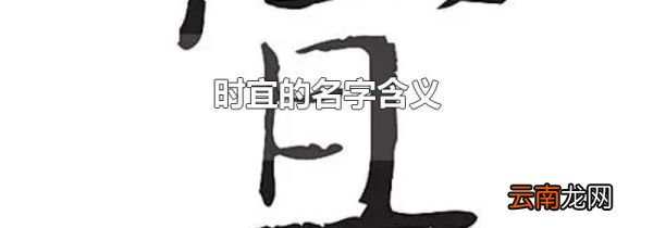 时宜的名字含义