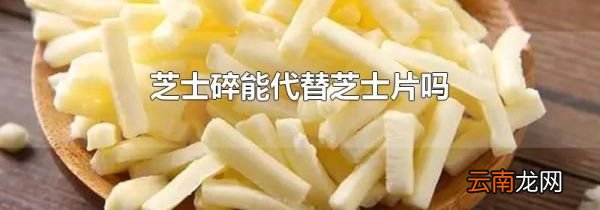 芝士碎能代替芝士片吗