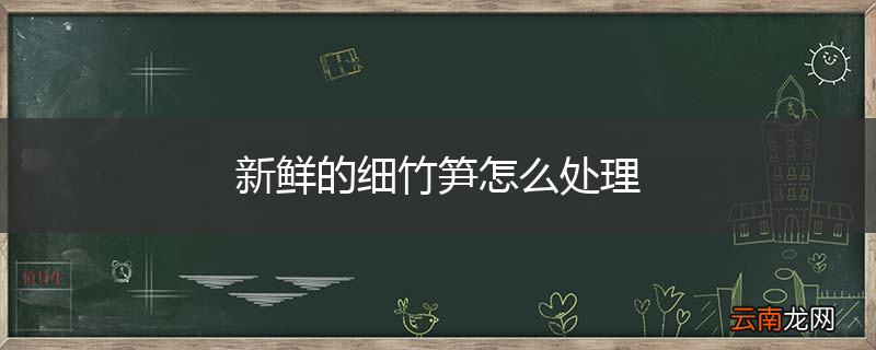 新鲜的细竹笋怎么处理
