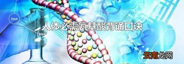 人体必需氨基酸背诵口诀