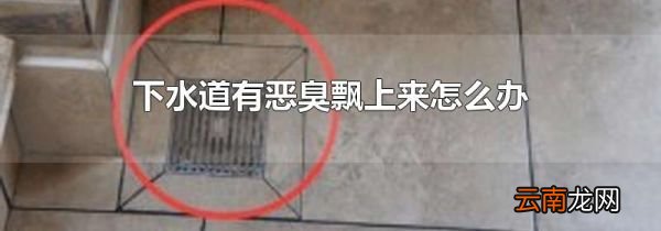 下水道有恶臭飘上来怎么办