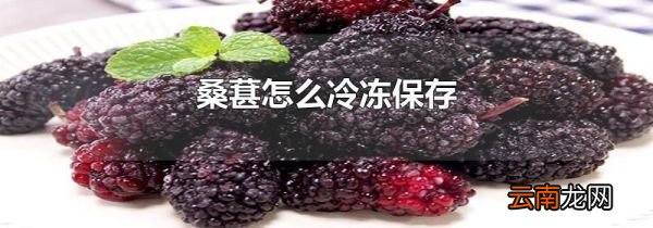 桑葚怎么冷冻保存