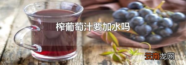 榨葡萄汁要加水吗