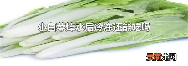 小白菜焯水后冷冻还能吃吗