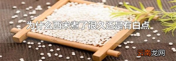为什么西米煮了很久还是有白点