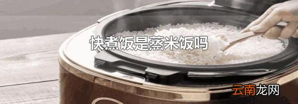快煮饭是蒸米饭吗