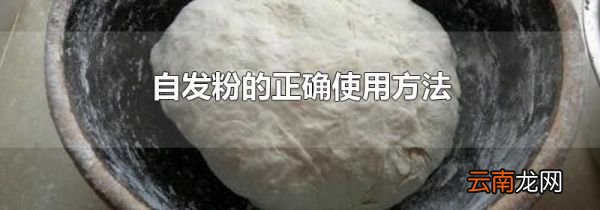 自发粉的正确使用方法