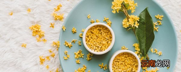 桂花的功效与作用 桂花有什么功效