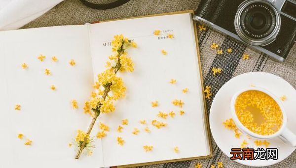 桂花的功效与作用 桂花有什么功效
