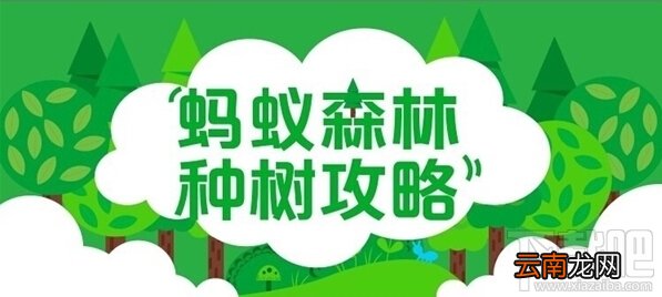 支付宝绿色包裹是什么？支付宝绿色包裹最多能获取多少绿色能量？