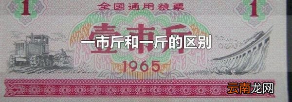 一市斤和一斤的区别