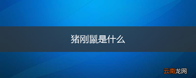 猪刚鬣是什么