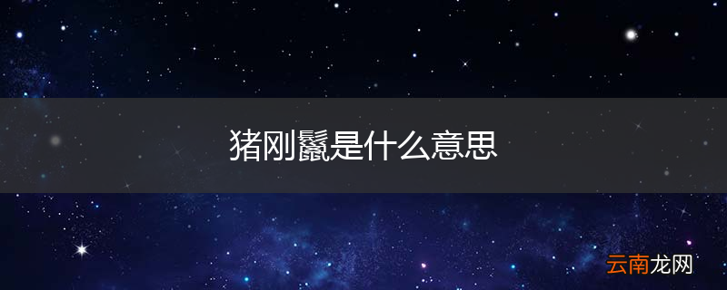 猪刚鬣是什么意思