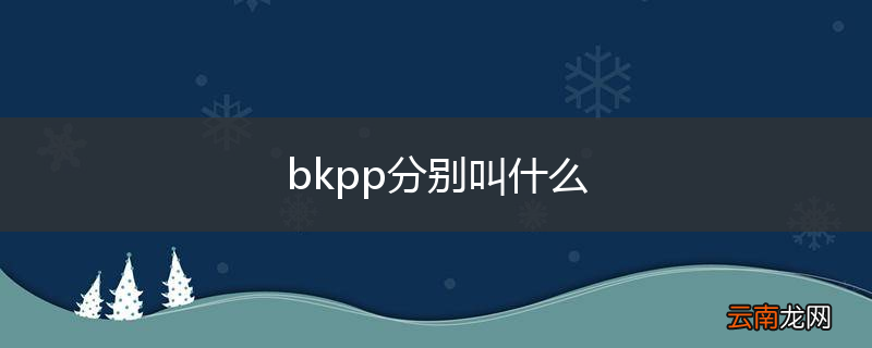bkpp分别叫什么