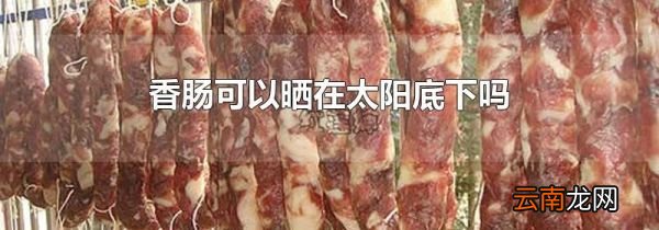 香肠可以晒在太阳底下吗