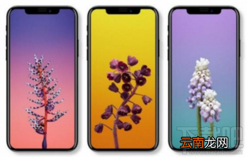 iphone x多少钱？iphone x手机怎么样？